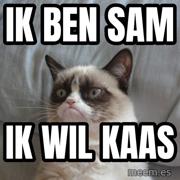 Grumpy cat good meme: ik ben sam / ik wil kaas