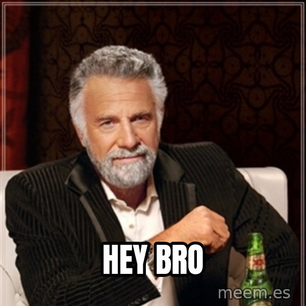 Dos Equis Guy gives advice meme: HEY BRO