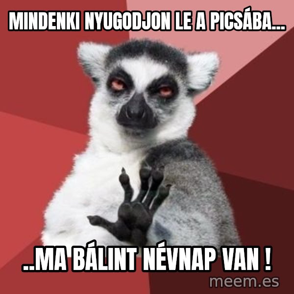 mindenki nyugodjon le a picsába meme: Mindenki nyugodjon le a picsába... / ..ma Bálint névnap van !