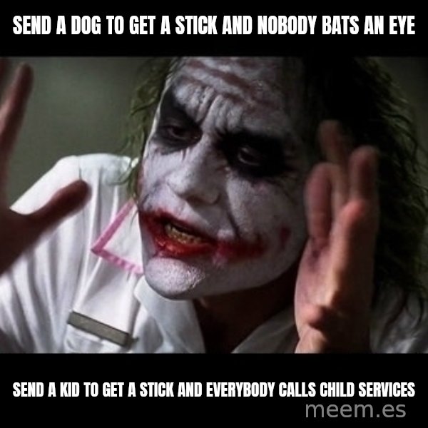 joker mind loss meme: SEND A DOG TO GET A STICK AND NOBODY BATS AN EYE / SEND A KID TO GET A STICK AND EVERYBODY CALLS CHILD SERVICES