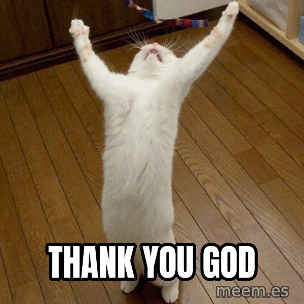 praise the lord cat meme: Thank You God