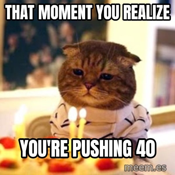 Birthday Cat meme: That moment you realize / you're pushing 40