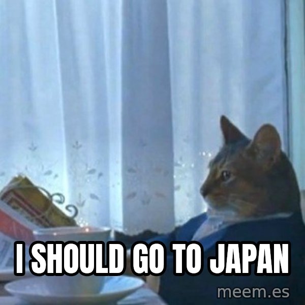 newspaper cat realization meme: i should go to japan