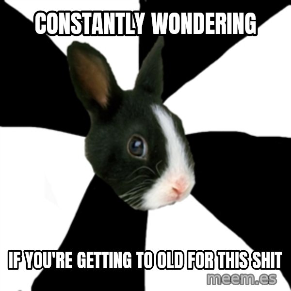 Roleplaying Rabbit meme: Constantly wondering / if you're getting to old for this shit