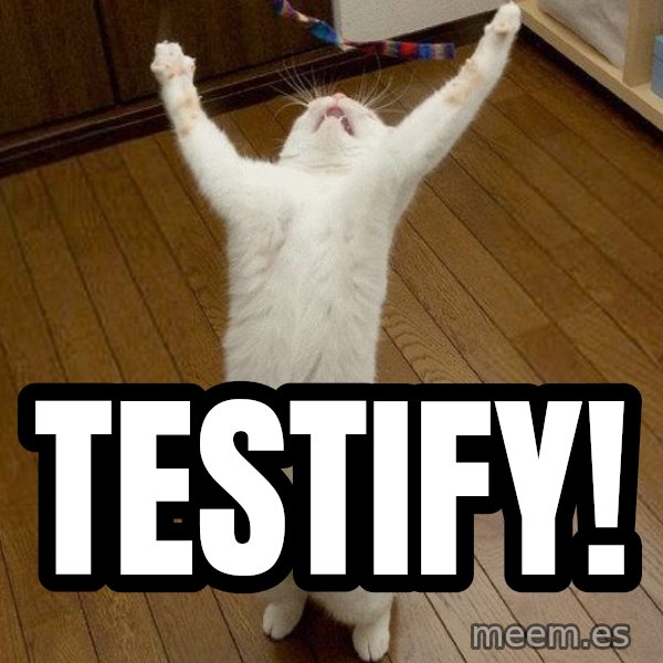 praise the lord cat meme: TESTIFY!