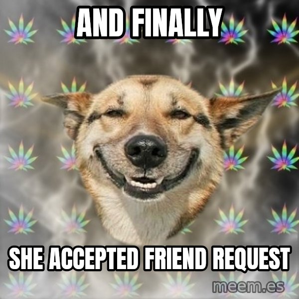 Stoner Dog meme: and finally / she accepted friend request