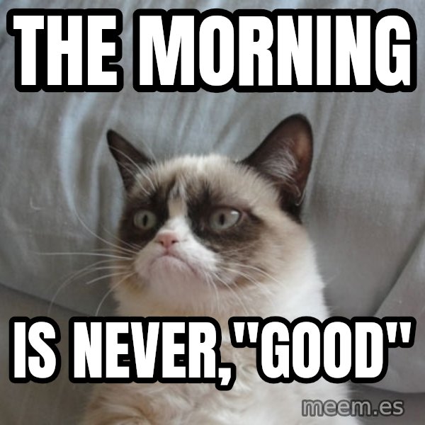 Grumpy Cat  meme: The Morning / Is NEVER,"good"
