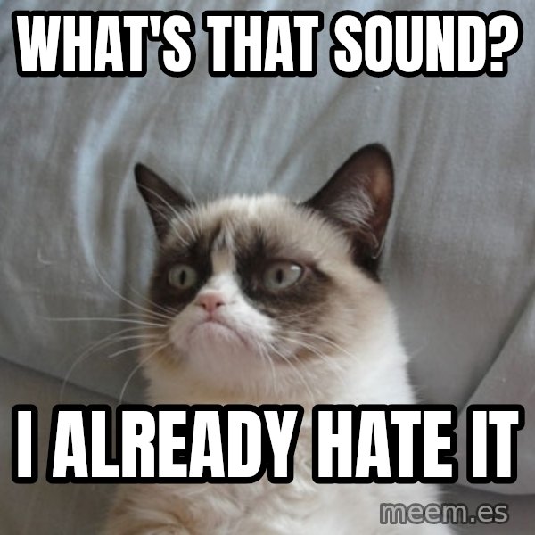 Grumpy Cat  meme: What's that sound? / I already hate it