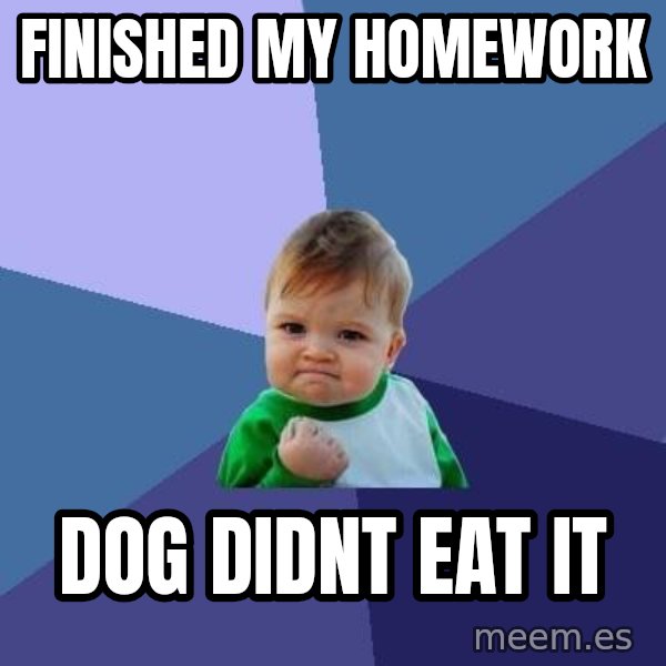 Success Kid meme: finished my homework / dog didnt eat it