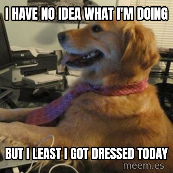 I have no idea what I'm doing - Dog with Tie meme: I have no idea what I'm doing / But I least I got dressed today