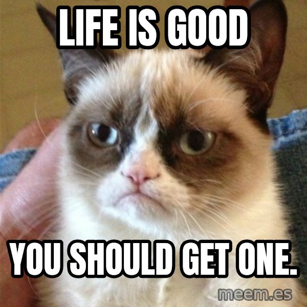 Grumpy Cat  meme: Life is good / You should get one.