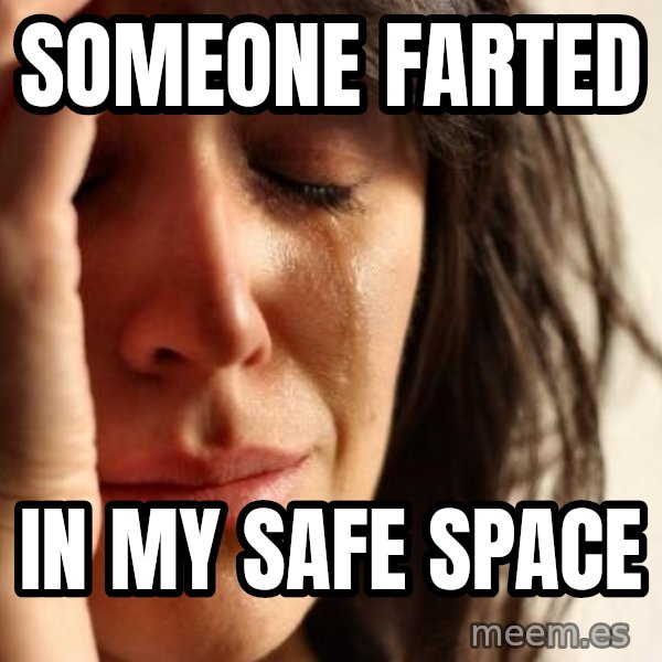 First World Problems meme: someone farted / in my safe space
