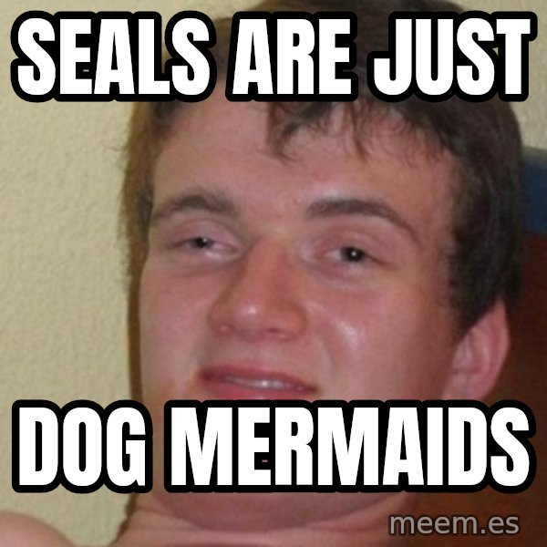 Really Stoned Guy meme: Seals are just / dog mermaids
