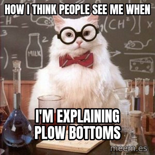 Chemistry Cat meme: How i think people see me when / i'm explaining plow bottoms