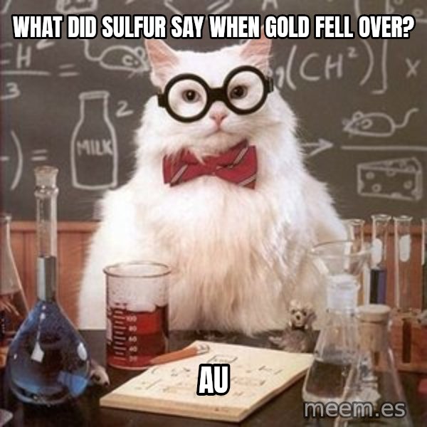 Chemistry Cat meme: What did Sulfur say when Gold fell over? / Au