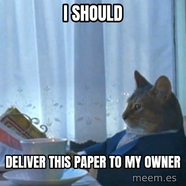newspaper cat realization meme: I SHOULD / DELIVER THIS PAPER TO MY OWNER