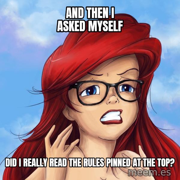 Hipster Ariel meme: And then I asked myself / Did I really read the rules pinned at the top?