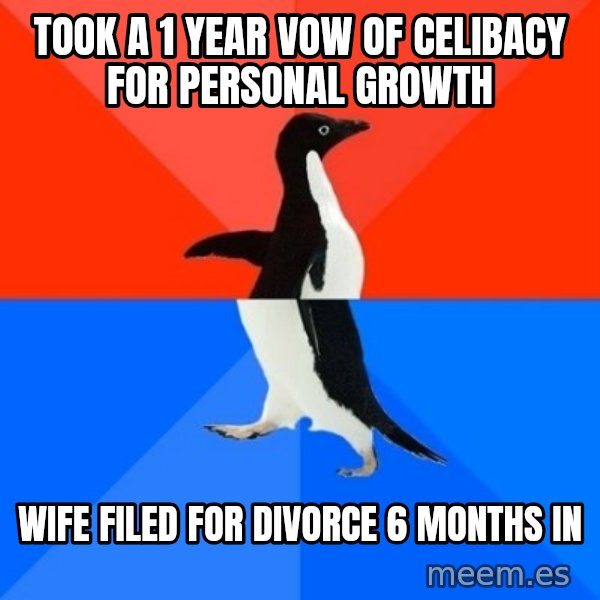 Socially Awesome Awkward Penguin meme: Took a 1 year vow of celibacy for personal growth / Wife filed for divorce 6 months in