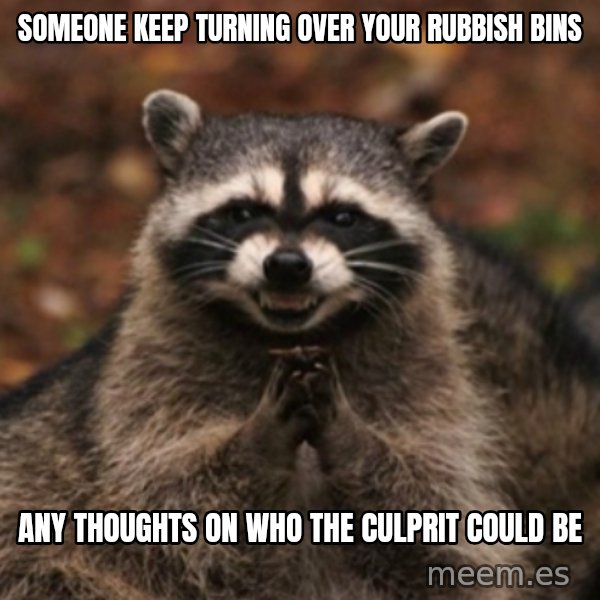 evil raccoon meme: someone keep turning over your rubbish bins / any thoughts on who the culprit could be