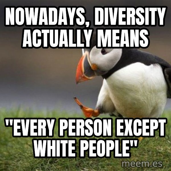 Unpopular Opinion Puffin meme: nowadays, diversity actually means / "every person except white people"