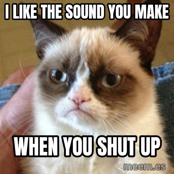Grumpy Cat  meme: I LIKE THE SOUND YOU MAKE / WHEN YOU SHUT UP