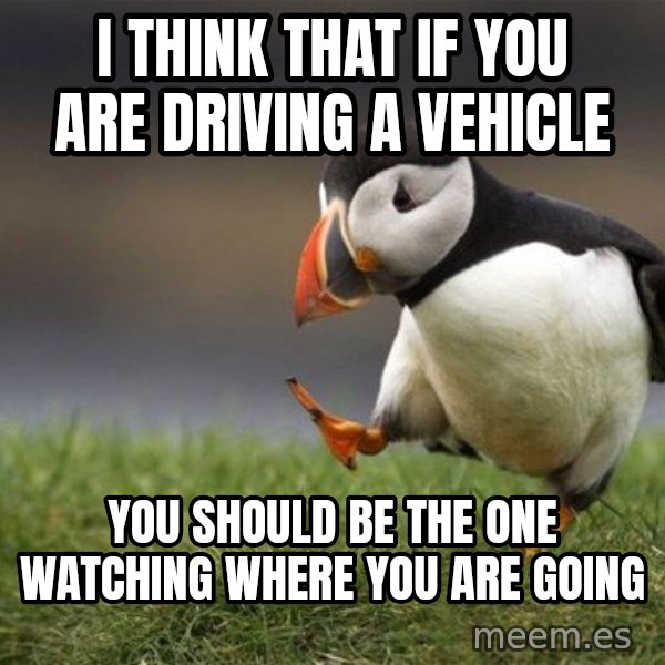 Unpopular Opinion Puffin meme: i think that if you are driving a vehicle / you should be the one watching where you are going