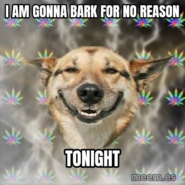 Stoner Dog meme: I AM GONNA BARK FOR NO REASON / TONIGHT