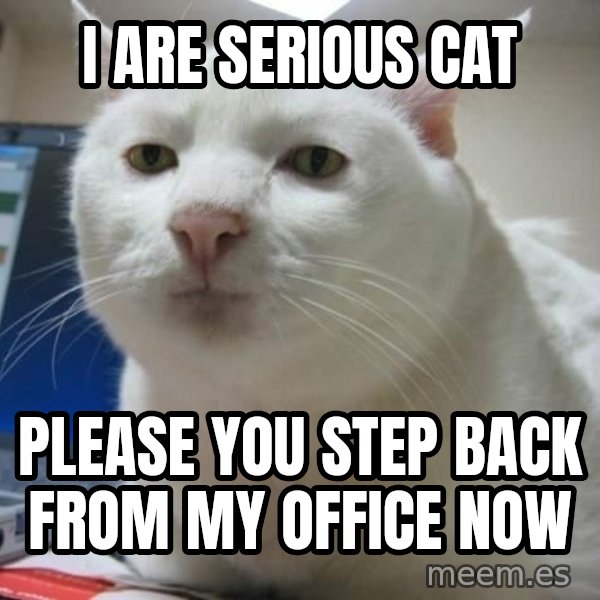 Serious Cat meme: I are serious cat / please you step back from my office now