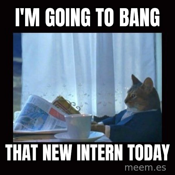 i should buy a boat cat meme: i'm going to bang / that new intern today