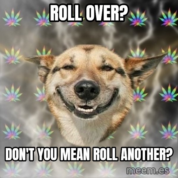 Stoner Dog meme: Roll over? / Don't you mean roll another?
