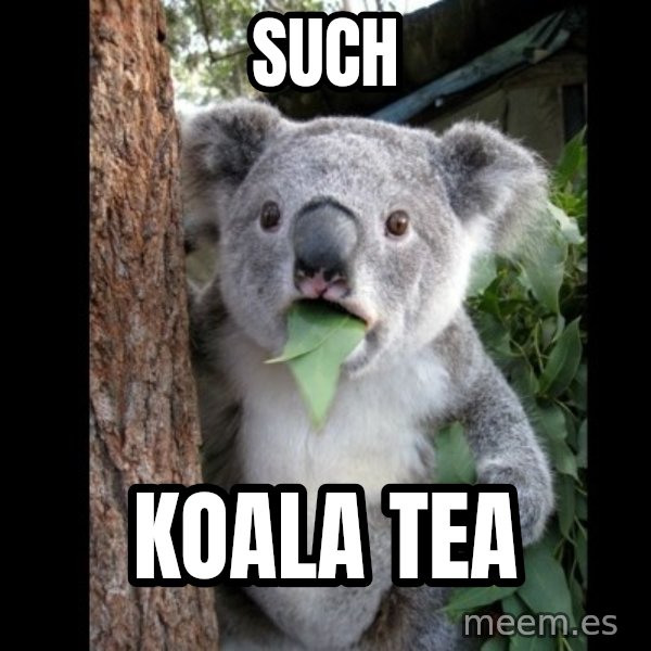 Koala can't believe it meme: Such / Koala Tea