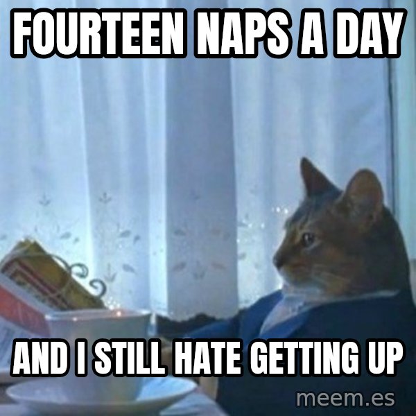 newspaper cat realization meme: fourteen naps a day / and I still hate getting up