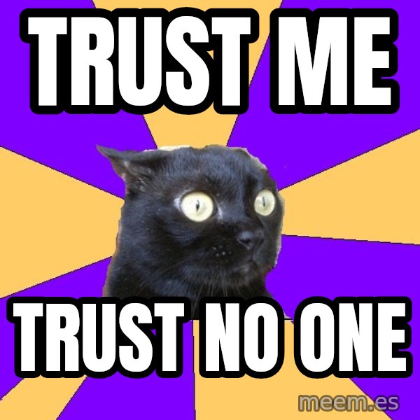 Anxiety Cat meme: Trust me / Trust no one