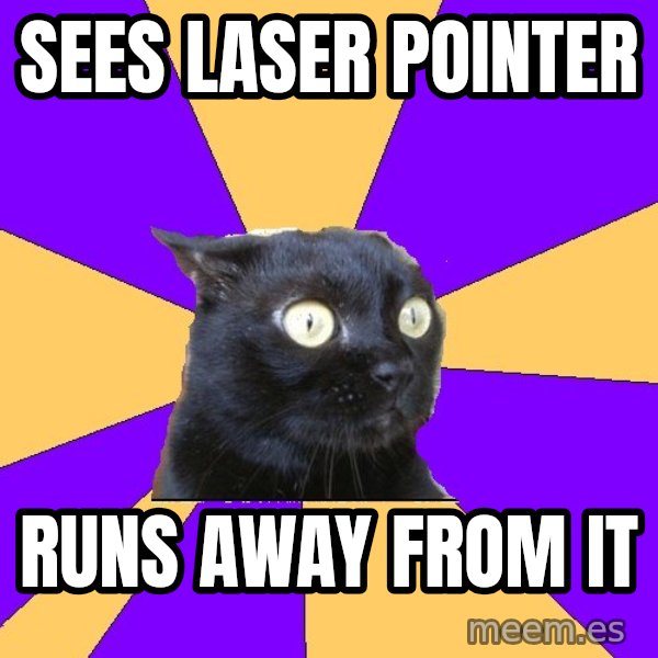 Anxiety Cat meme: sees laser pointer / runs away from it