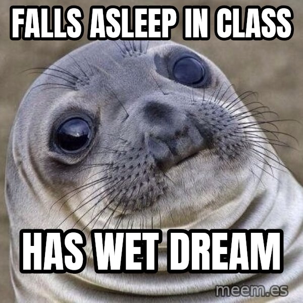 Awkward Seal meme: falls asleep in class / has wet dream