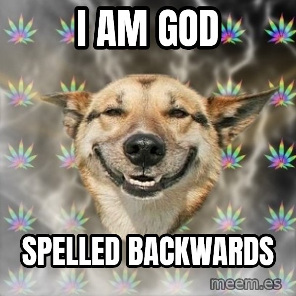 Stoner Dog meme: I am god / spelled backwards
