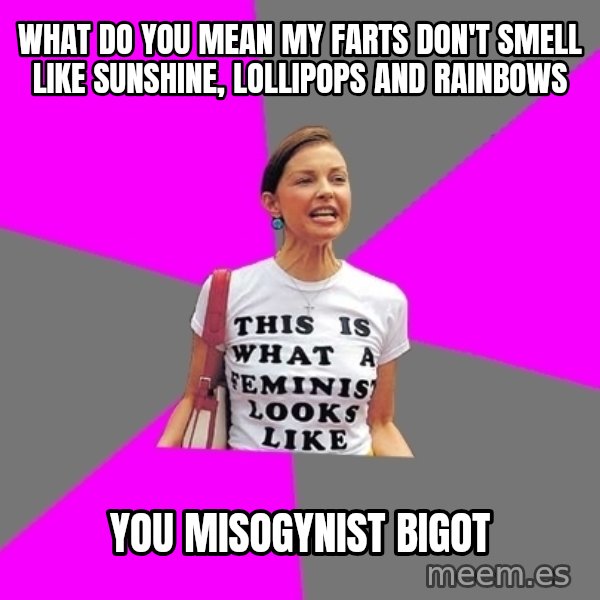 Feminist Cunt meme: what do you mean my farts don't smell like Sunshine, lollipops and rainbows / you misogynist bigot