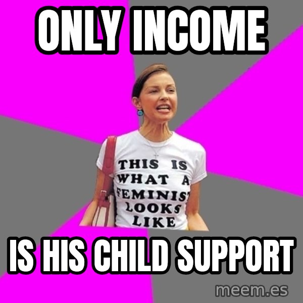 Feminist Cunt meme: only income / is his child support