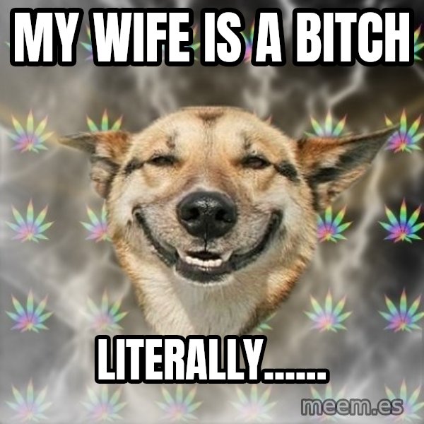 Stoner Dog meme: My wife is a bitch / Literally......