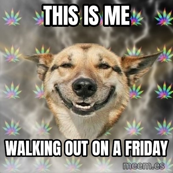 Stoner Dog meme: This is me / walking out on a friday