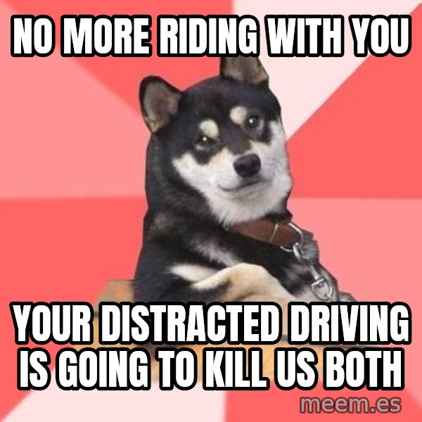 Cool Dog meme: no more riding with you / your distracted driving is going to kill us both