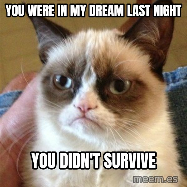 Grumpy Cat  meme: You were in my dream last night / You didn't survive
