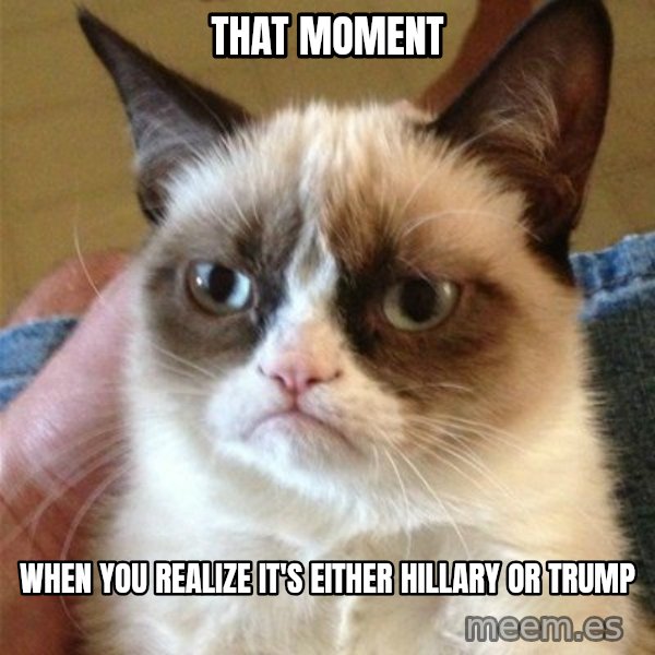 Grumpy Cat  meme: That moment / when you realize it's either hillary or trump
