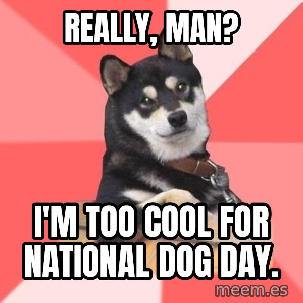 Cool Dog meme: really, man? / i'm too cool for national dog day.