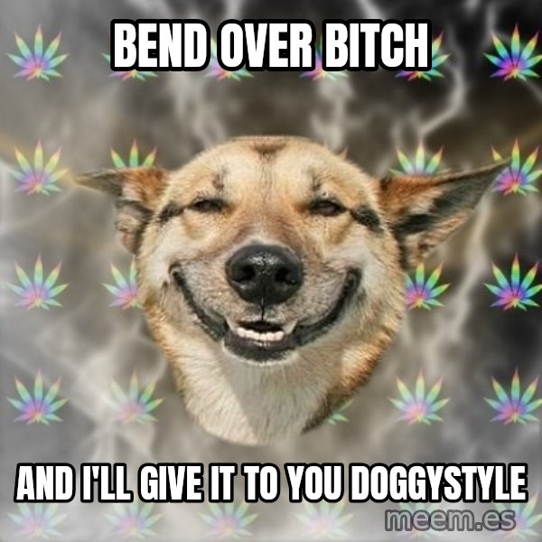 Stoner Dog meme: bend over bitch / and i'll give it to you doggystyle