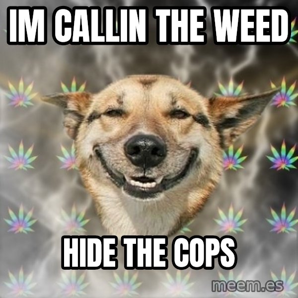 Stoner Dog meme: Im callin the weed / Hide the cops