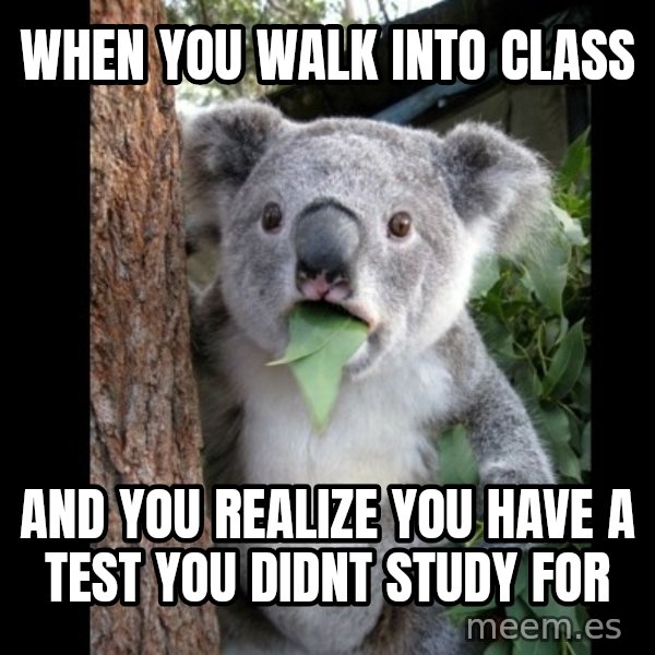 Koala can't believe it meme: When you walk into class / and you realize you have a test you didnt study for