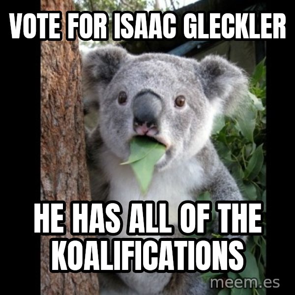Koala can't believe it meme: VOTE FOR ISAAC GLECKLER / HE HAS ALL OF THE KOALIFICATIONS
