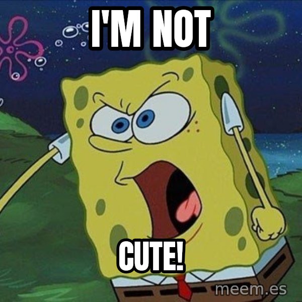 Spongebob Rage meme: I'M NOT / CUTE!