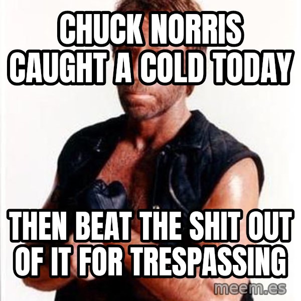 Chuck Norris  meme: Chuck Norris caught a cold today / then beat the shit out of it for trespassing